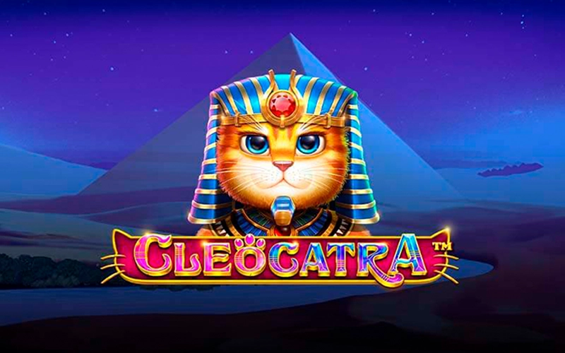 Roletinha net login
